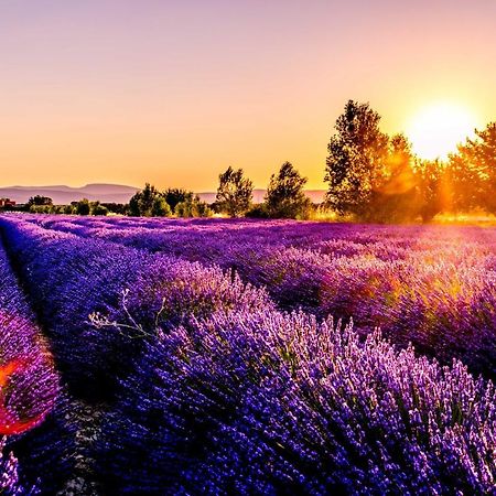 Chez Marius Gordes Vue Panoramique Sur Luberon Διαμέρισμα Εξωτερικό φωτογραφία